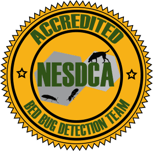 NYC NESDCA certified bed bug dog