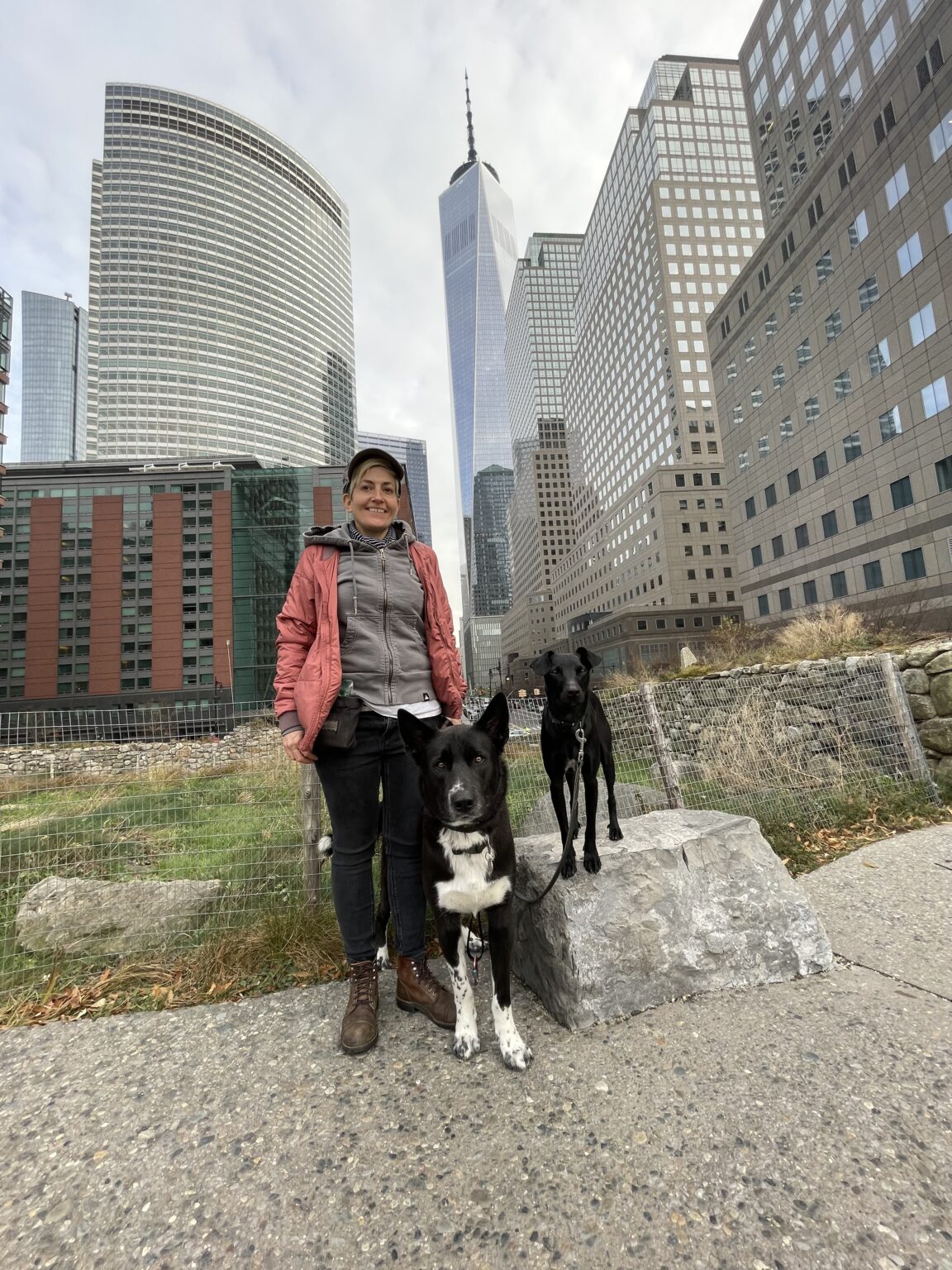 A Bed Bug Inspection in NYC with a Certified Bed Bug Dog
