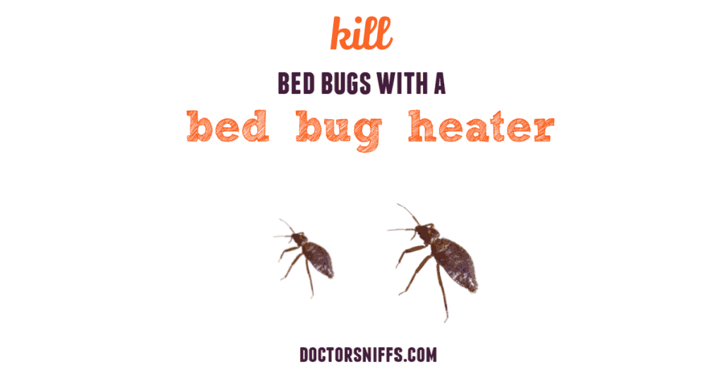 Kill bed bugs with a bed bug heater poster