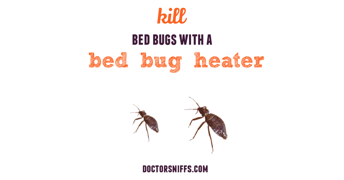 Ultimate Guide To Killing Bed Bugs Using A Portable Heater 46 Off 8764