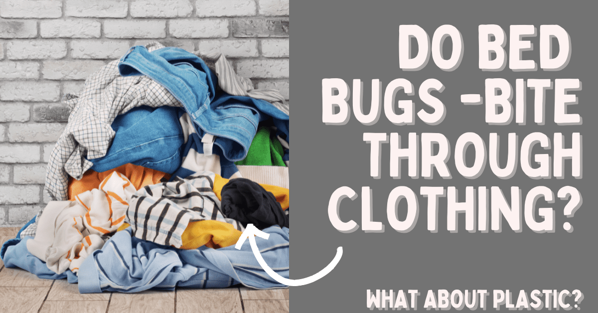 can bed bugs travel through clothes