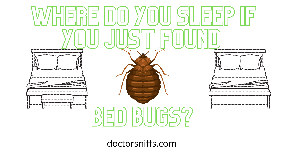 Is it OK to sleep with bed bugs?