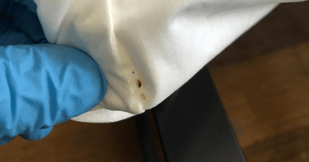 Where to Sleep if You Have Bed Bugs