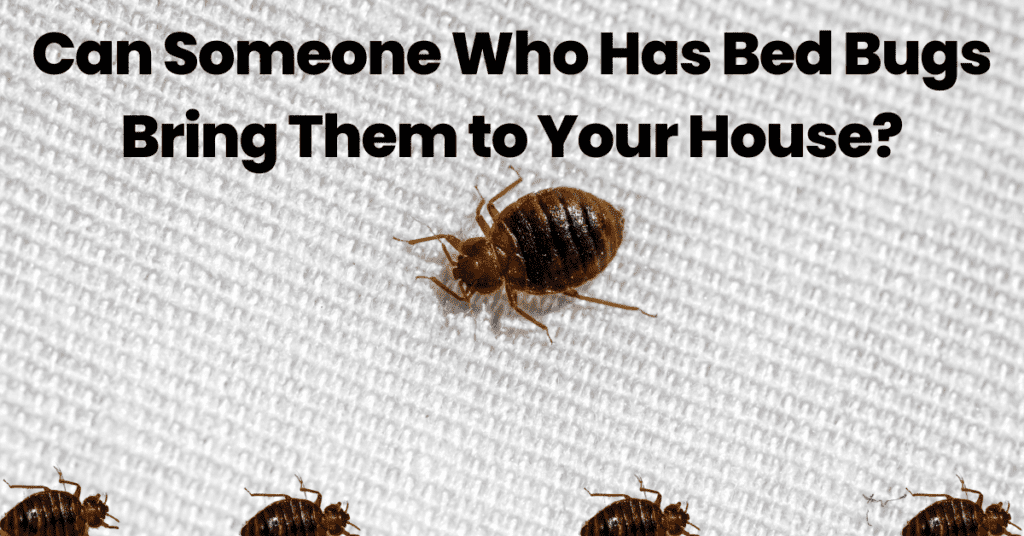 Can Someone Who Has Bed Bugs Bring Them to Your House? A Complete Guide on What to Do