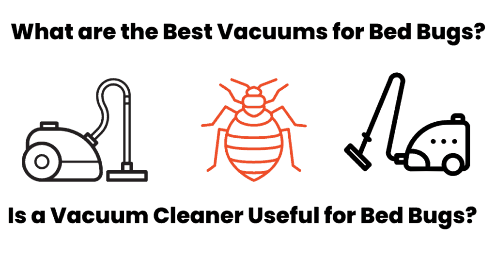 The Best Vacuum for Bed Bugs