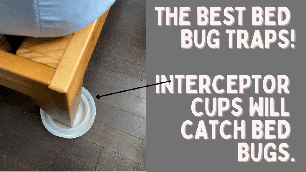 The Best Bed Bug Traps - interceptor cups will catch bed bugs