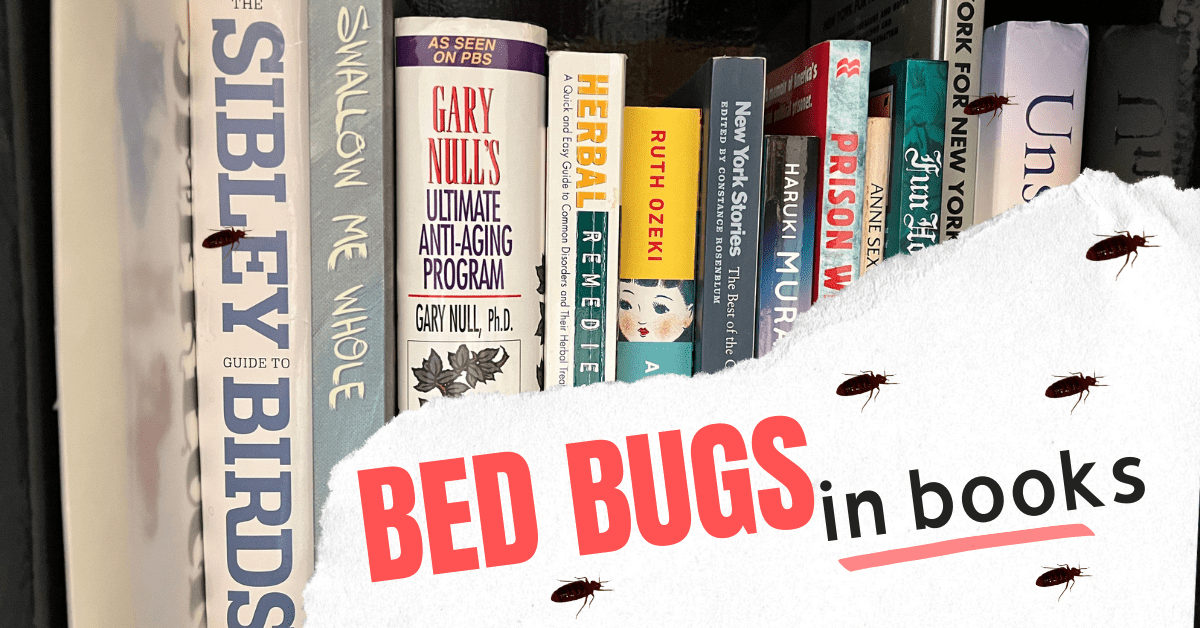 Bed Bugs in Books: How to Treat Books for Bed Bugs