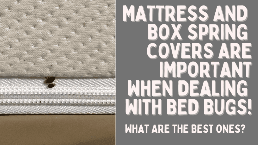 best mattress and box spring covers for bed bugs