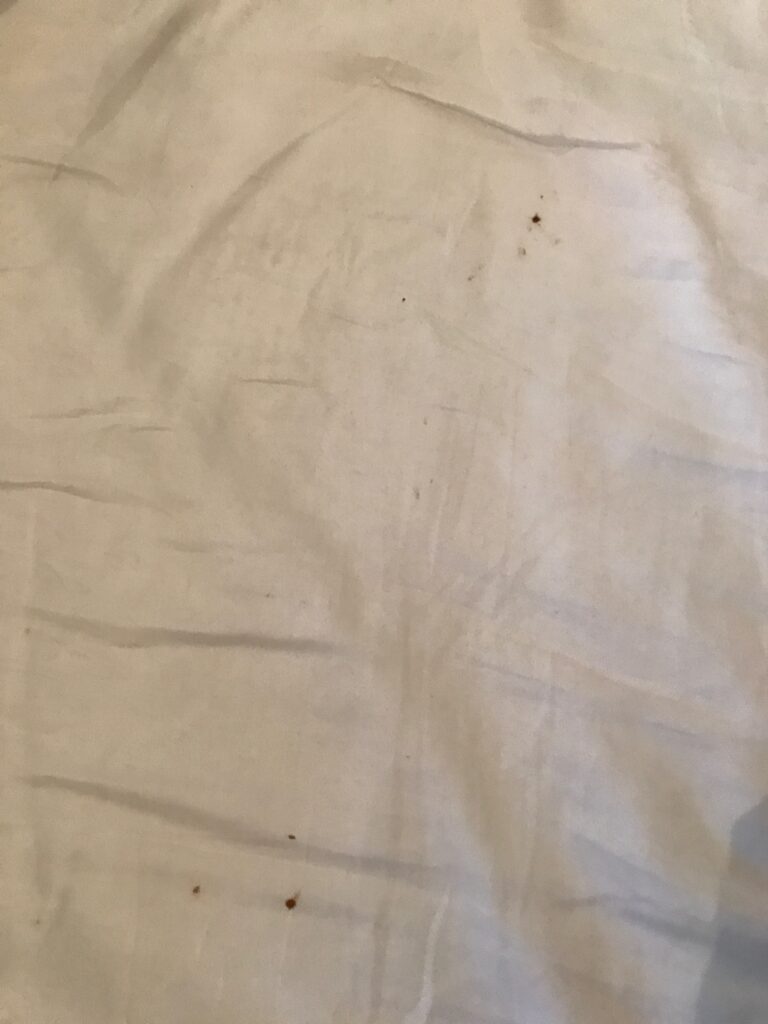 blood stains on sheets, possible early signs of bed bugs