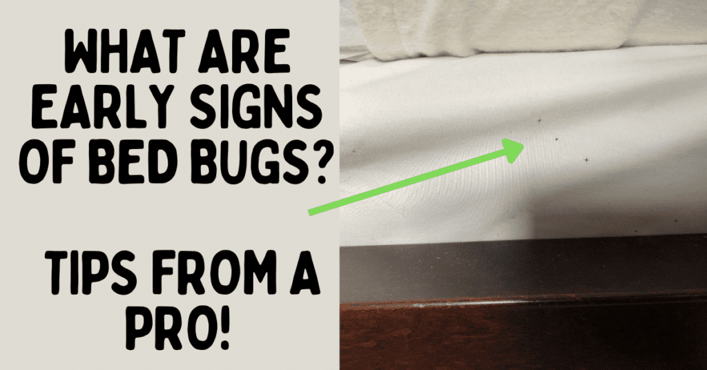 early signs of bed bugs - tips from a pro