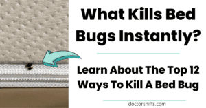 What Kills Bed Bugs Instantly? 12 Ideas to Get You Started!
