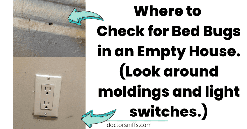 How To Check For Bed Bugs In An Empty House