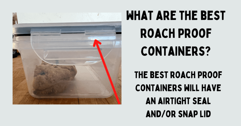 best cockroach proof containers