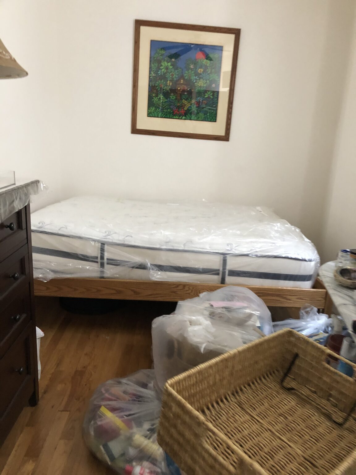 Can Bed Bugs Go Through A Plastic Mattress Cover?