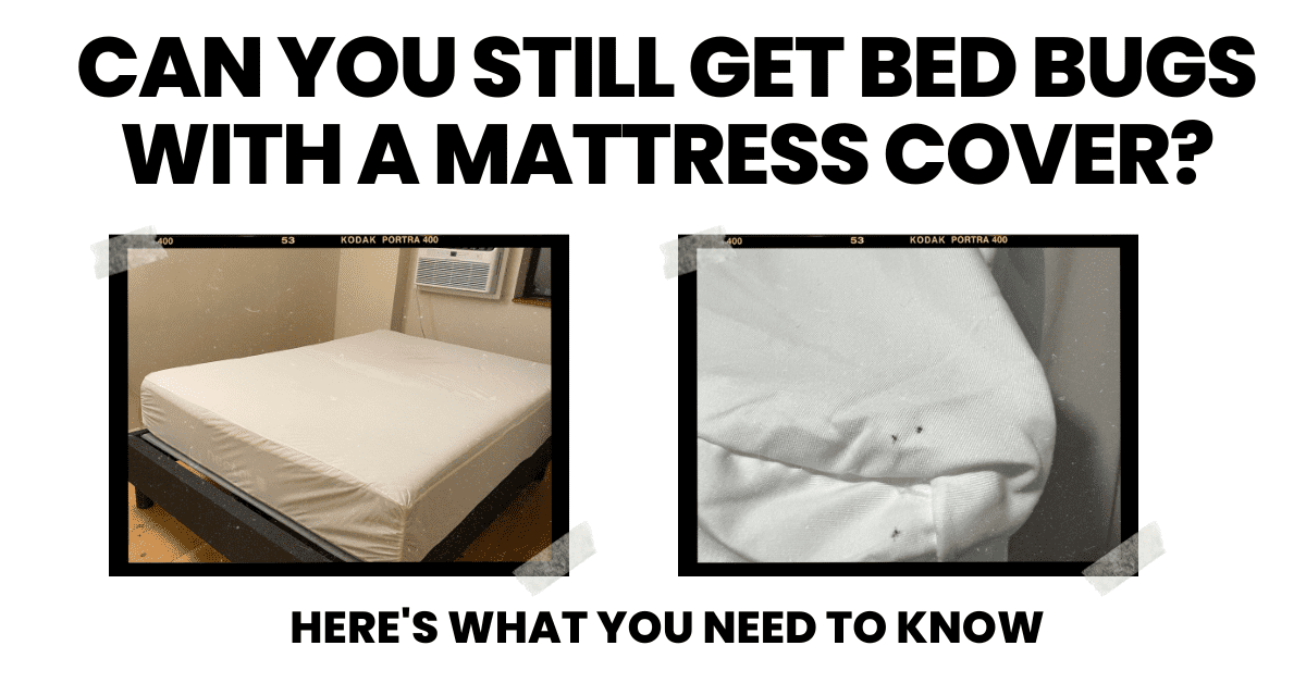 Bed Bug Mattress Covers: A Right Way And A Wrong Way - Envirocare Pest  Control