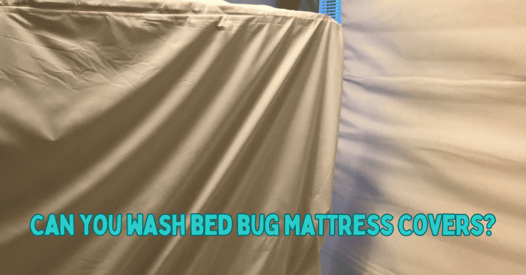 Can you wash a bed bug mattress cover