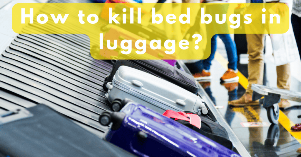 How To Kill Bed Bugs In Luggage