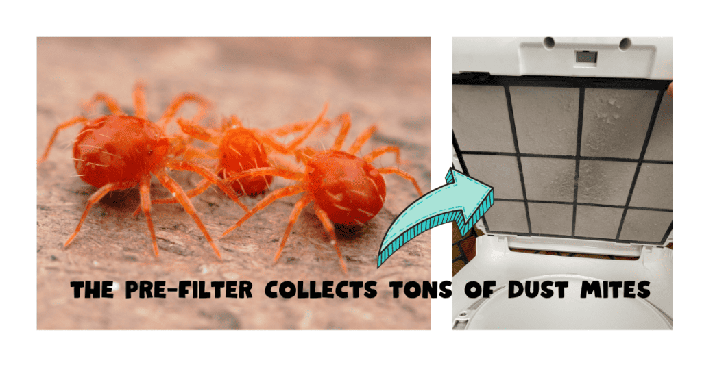 Dust Mites in clothes