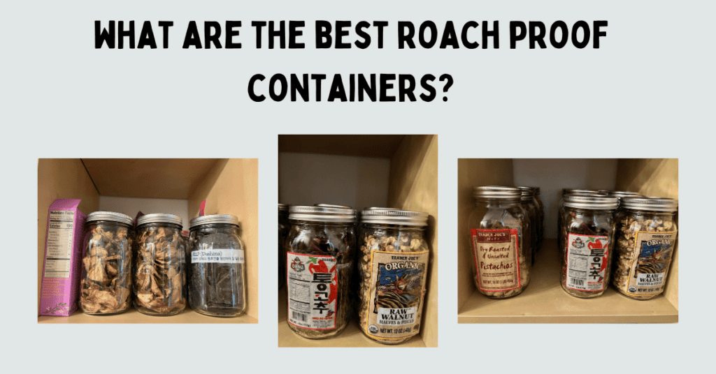 mason jars with the food inside with the text: Mason jars make great cockroach proof containers