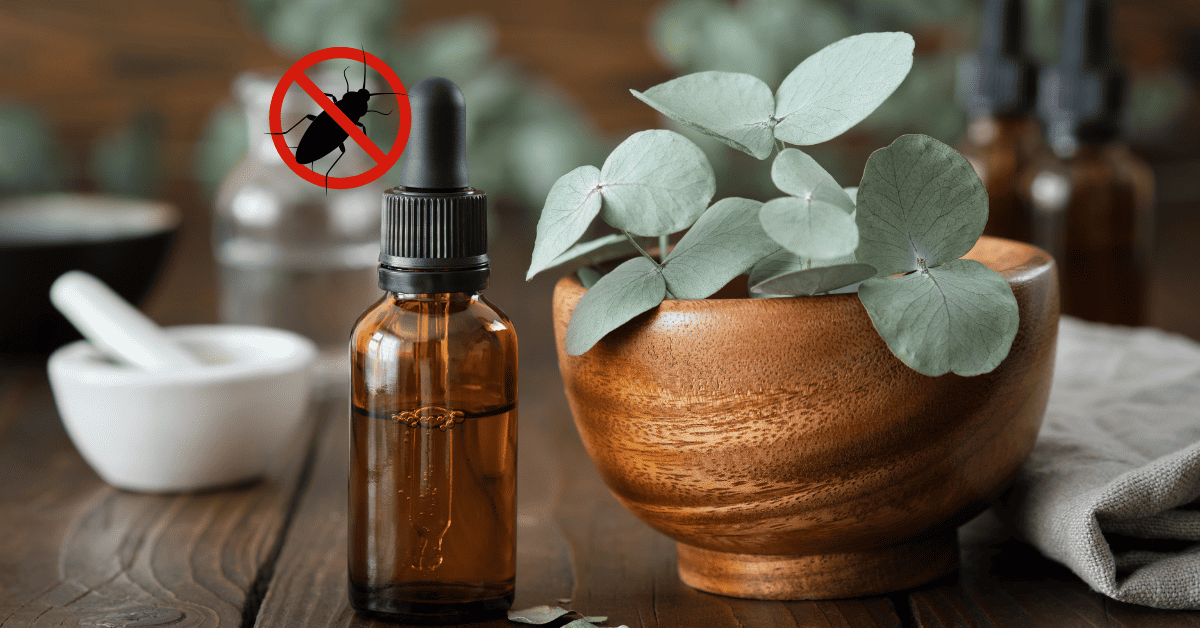 What Smell Do Roaches Hate? 11 Natural Ways to Repel Them