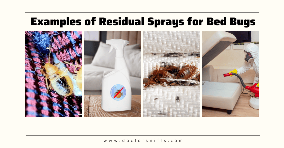 7 Examples of Residual Spray for Bed Bugs