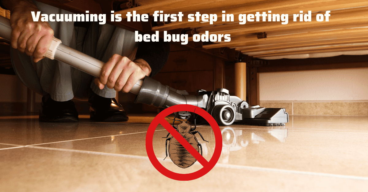 How to Get Rid of Bed Bug Smell Actionable Tips