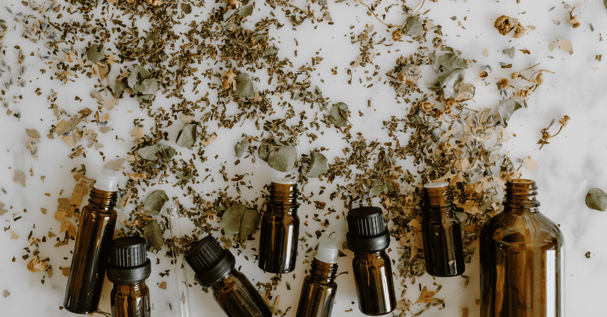 MothFree Living 10 Natural Tricks You’ll Wish You Knew Sooner