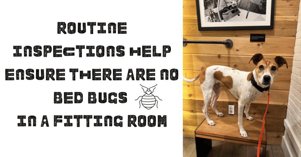 fitting room bed bug inspection