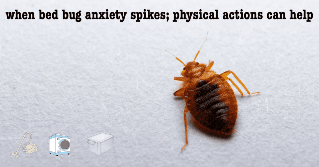 bed bug poster with words when bed bug anxiety spikes physical actions can help