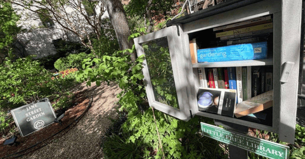 bugs in little free library jane street