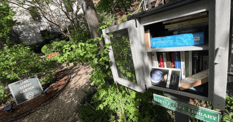 How to Use Little Free Libraries Without Bringing Bed Bugs Home