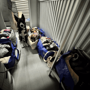 southy the dog searching a storage unit